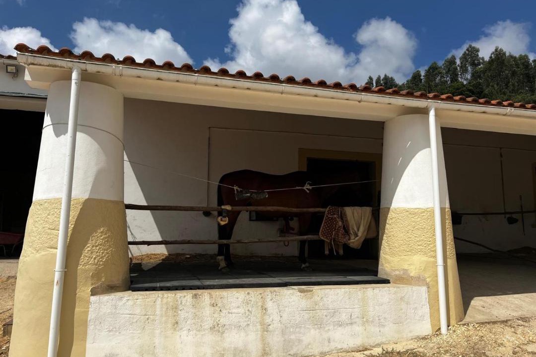 Photo of Others in Rio Maior