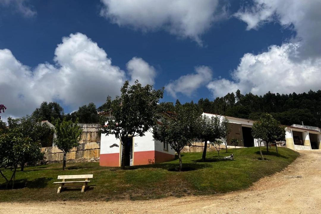 Photo of Others in Rio Maior