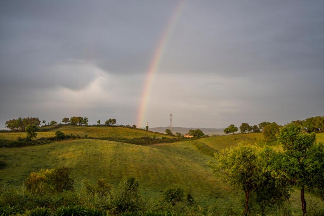 Photo of Others in Sao Luis