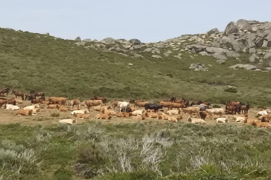 Photo of Others in Montalegre