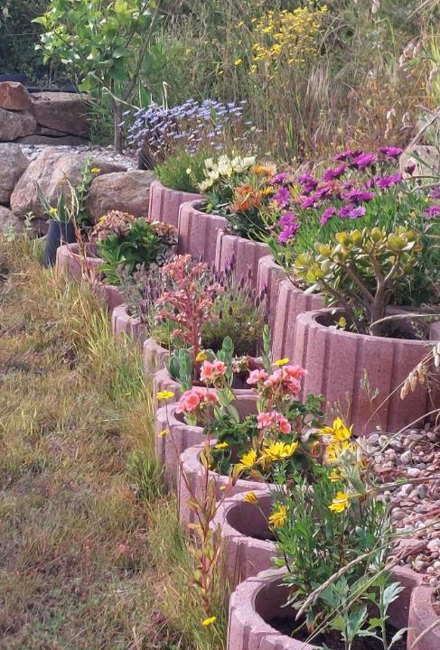 Photo of Outdoor in Penela