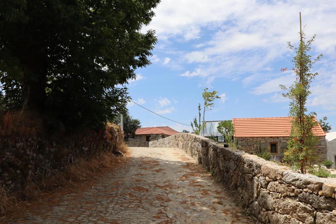 Photo of Others in Lamego