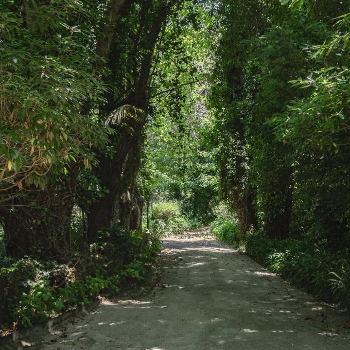 Photo of Others in Sintra