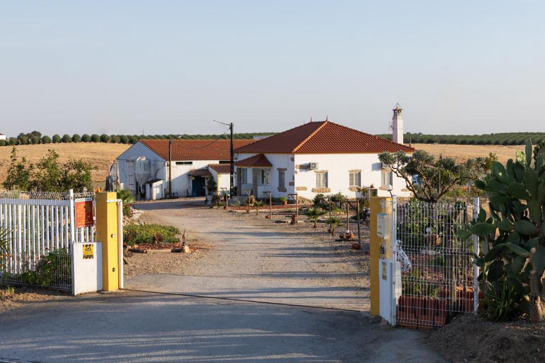 Photo of Others in Idanha-a-Nova