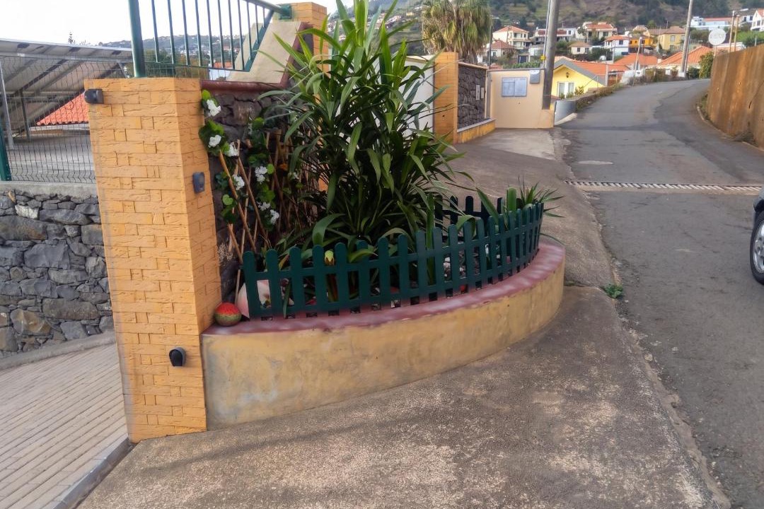Photo of Others in Ponta do Sol