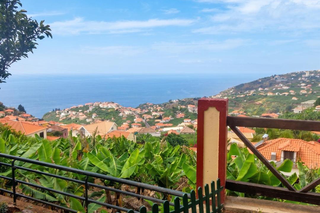 Photo of Others in Ponta do Sol