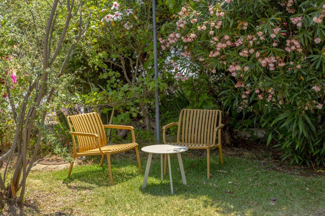 Photo of Others in Patio