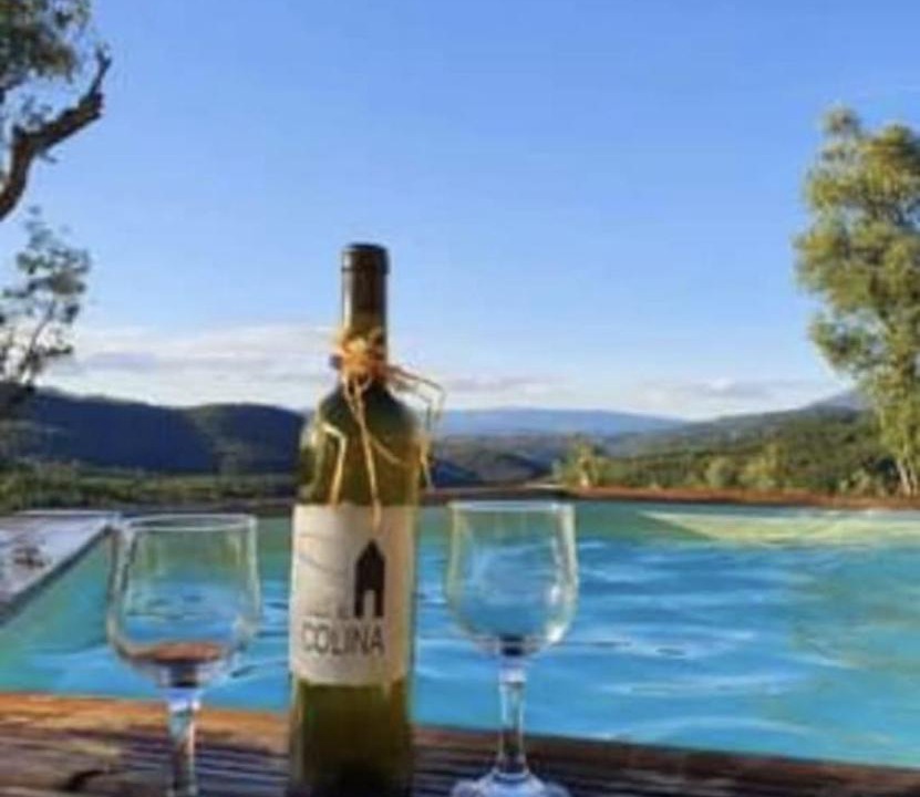 Photo of Others in Vinho