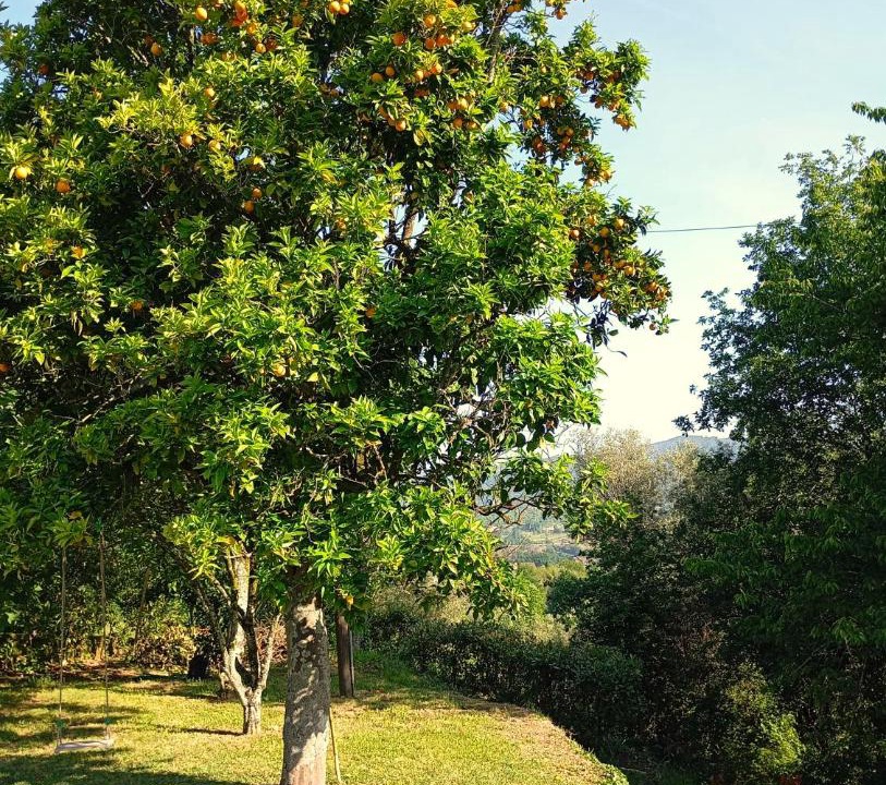 Photo of Others in Bravaes