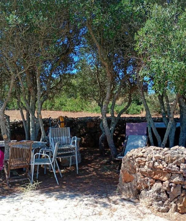 Photo of Others in Espiche