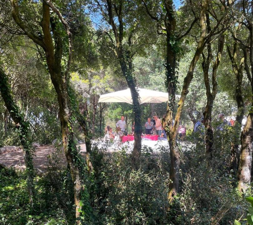 Photo of Others in Reguengo Grande