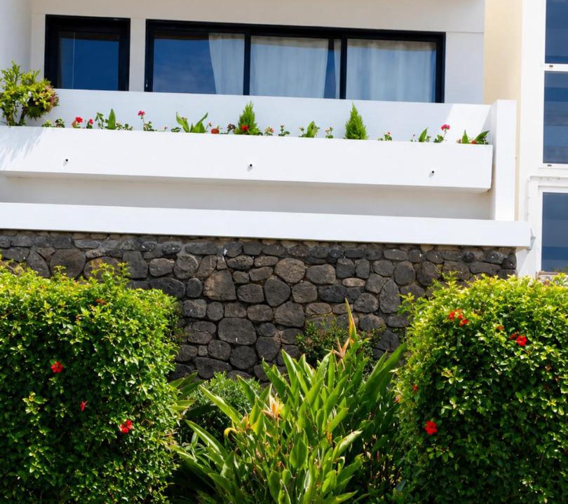 Photo of Others in Machico