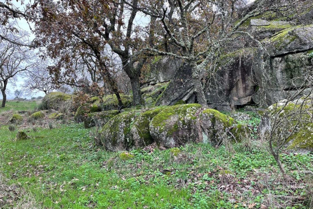 Photo of Others in Santa Maria da Devesa