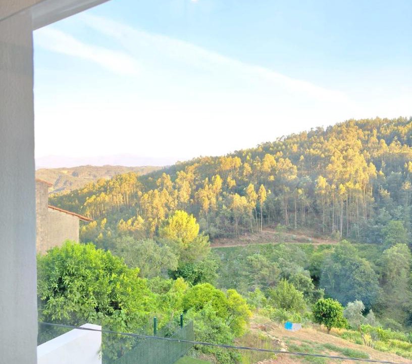 Photo of Others in Penacova