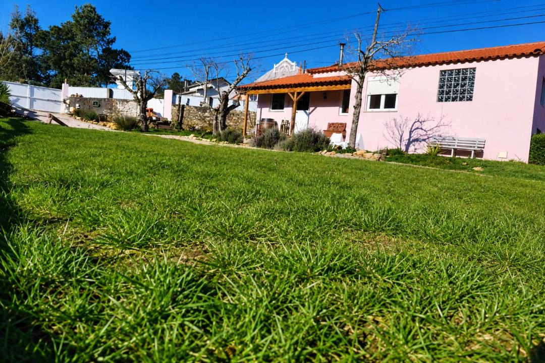 Photo of Others in Vila Nova de Poiares