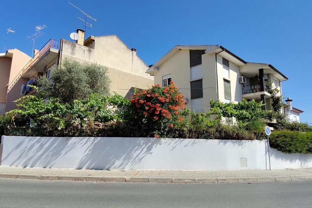Photo of Others in Mirandela