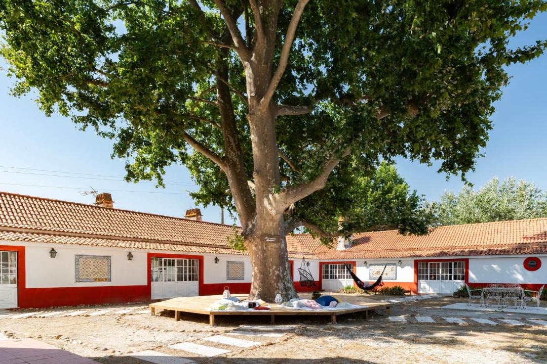 Photo of Others in Alpiarca