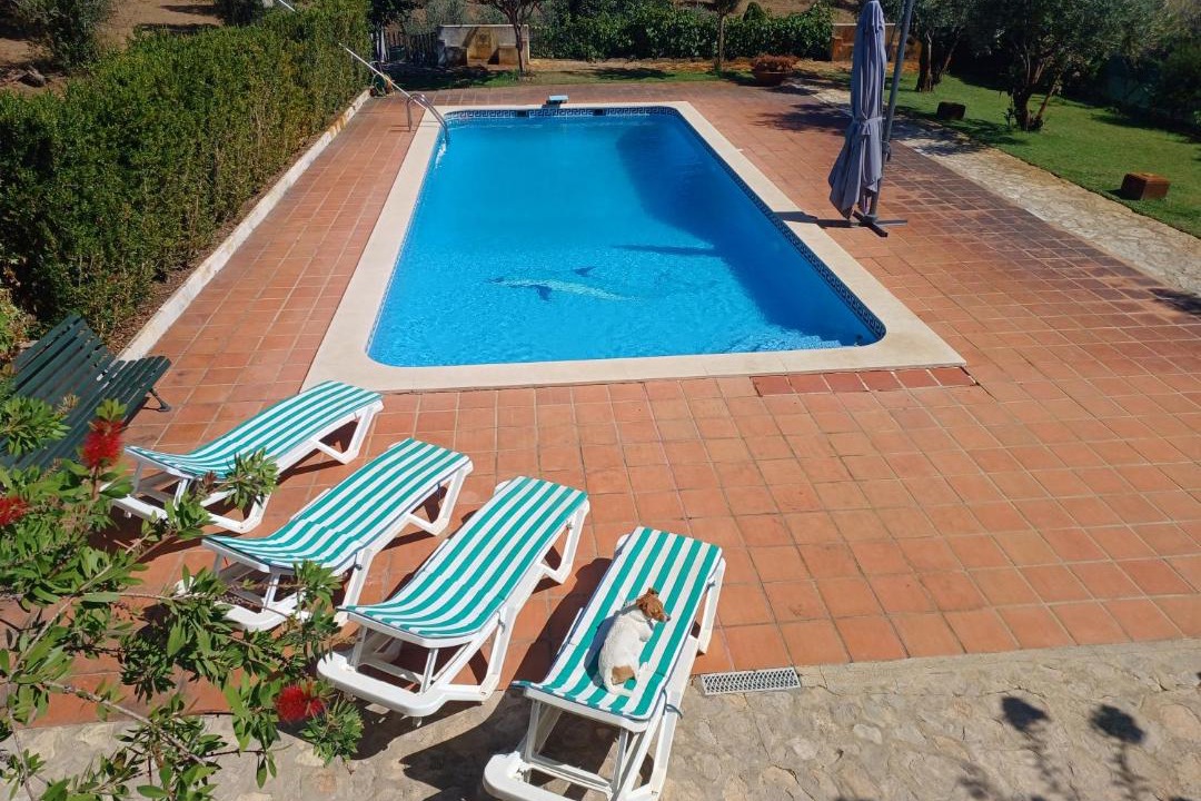 Photo of Others in Sao Pedro de Tomar