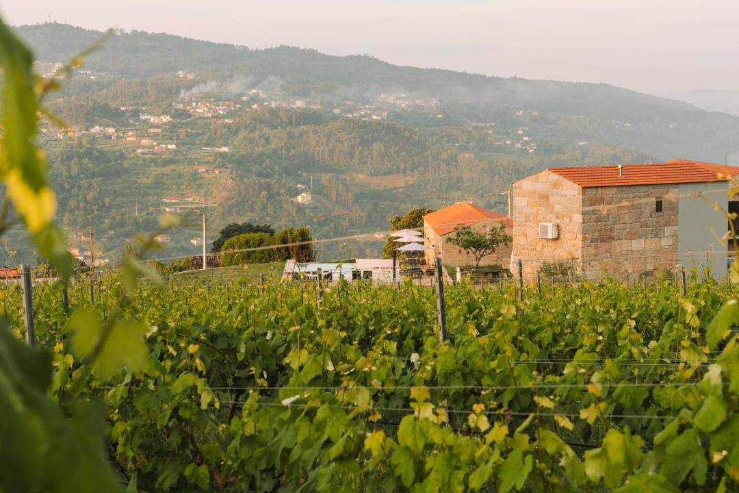 Photo of Others in Sao Lourenco do Douro