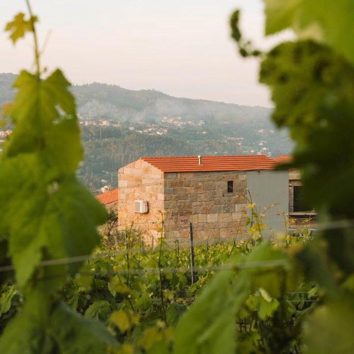 Photo of Others in Sao Lourenco do Douro