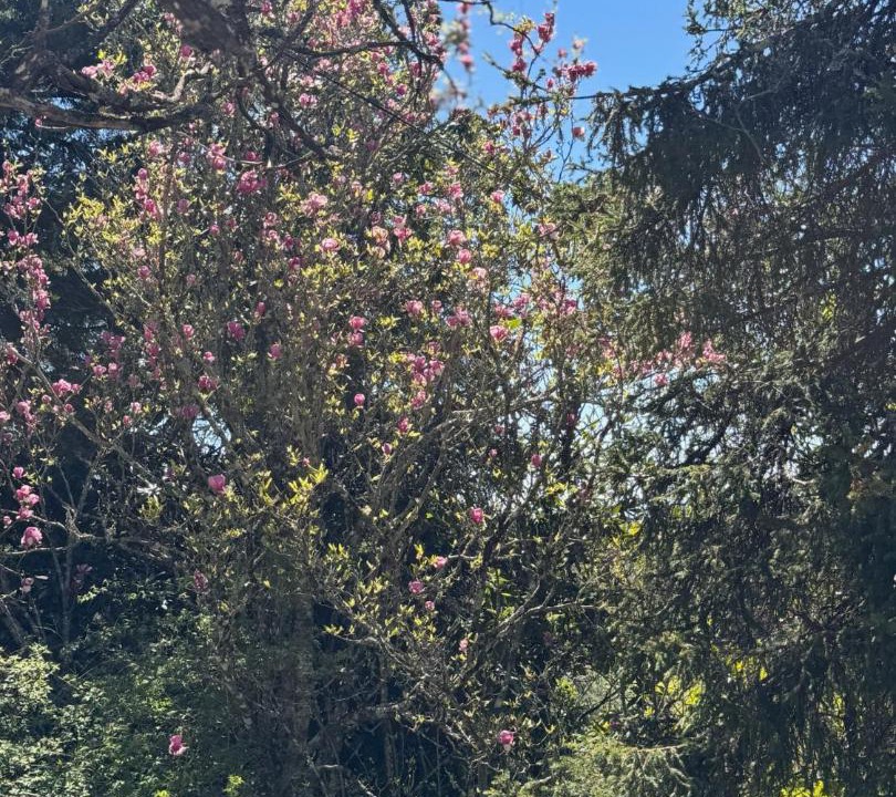 Photo of Outdoor in Reveladas