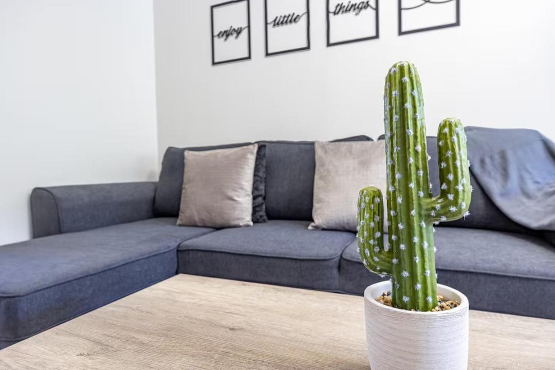 Photo of Livingroom in Sao Jorge
