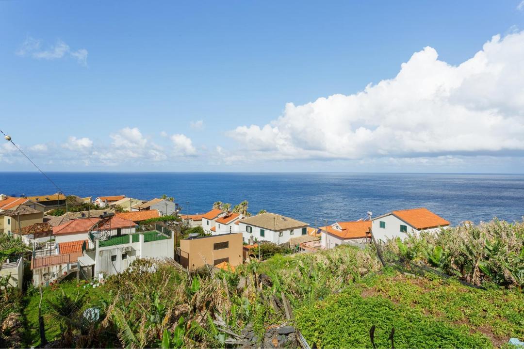 Photo of Others in Jardim do Mar
