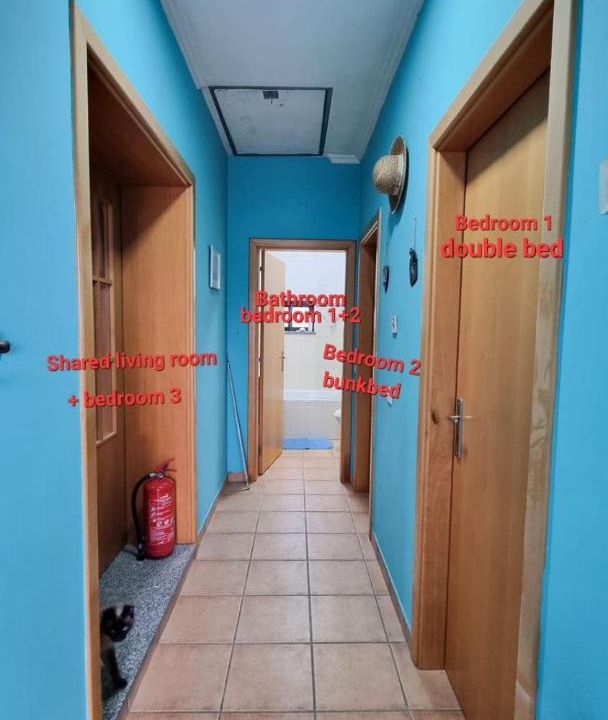 Photo of Others in Oliveira do Hospital