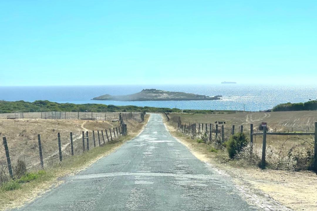 Photo of Others in Porto Covo