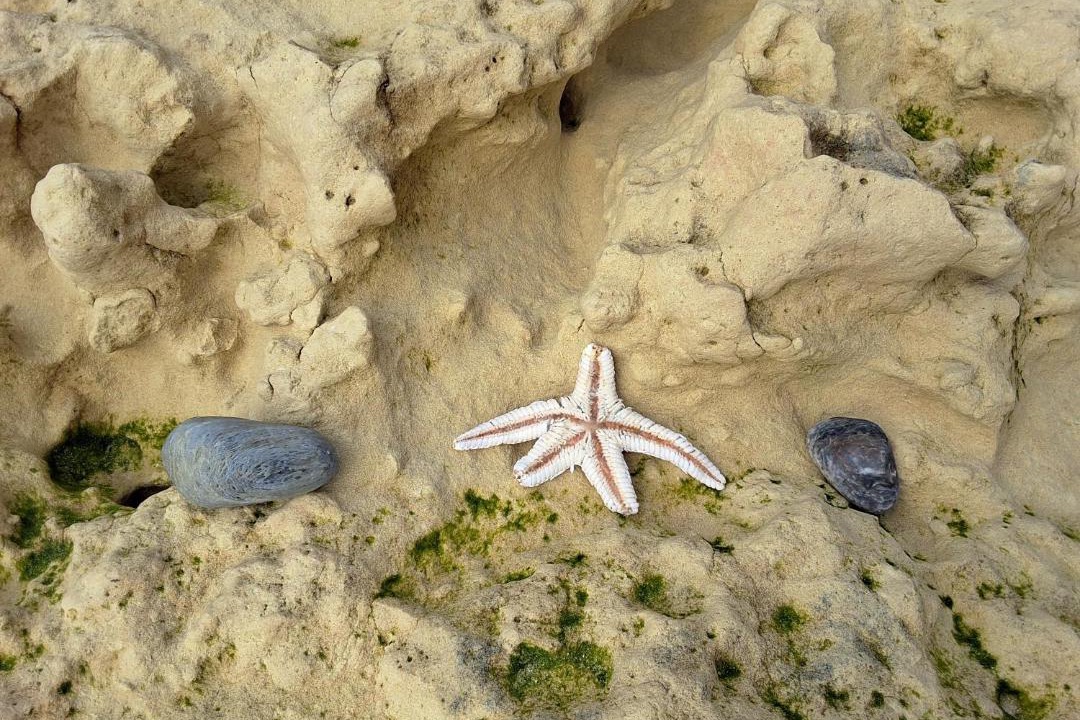 Photo of Others in Vale de Carro