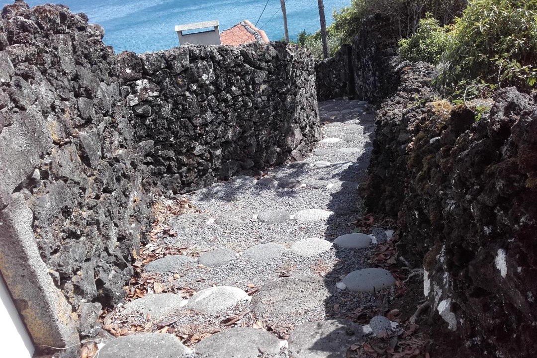 Photo of Others in Sao Roque do Pico