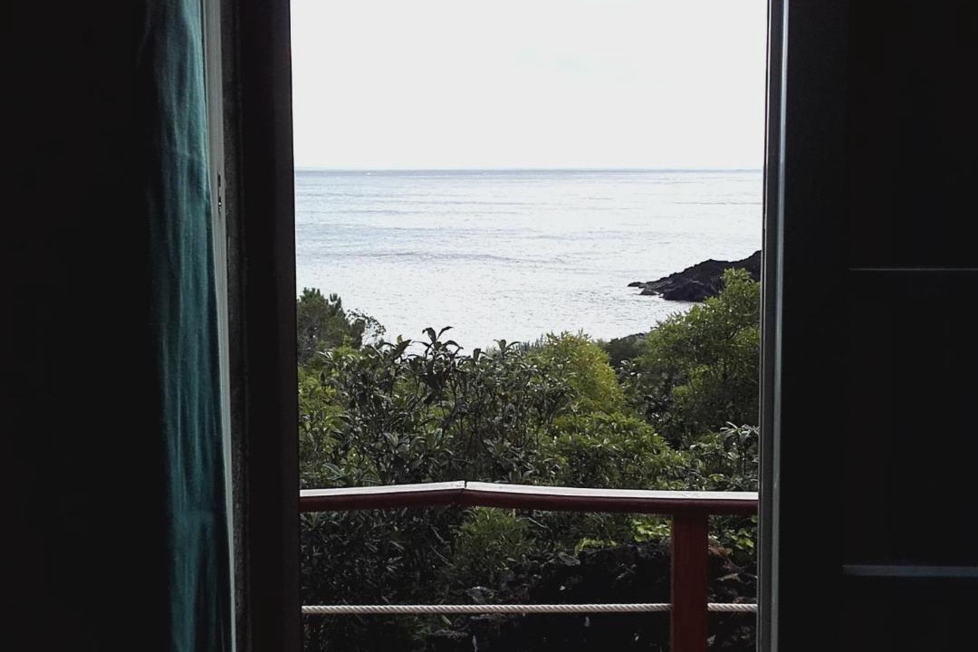 Photo of Others in Sao Roque do Pico
