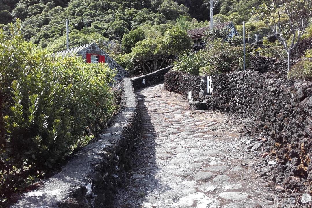 Photo of Others in Sao Roque do Pico