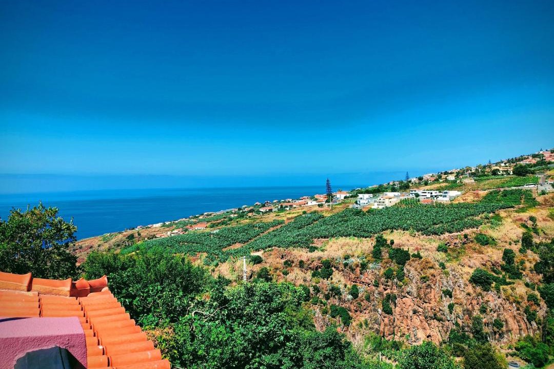 Photo of Others in Estrela da Calheta