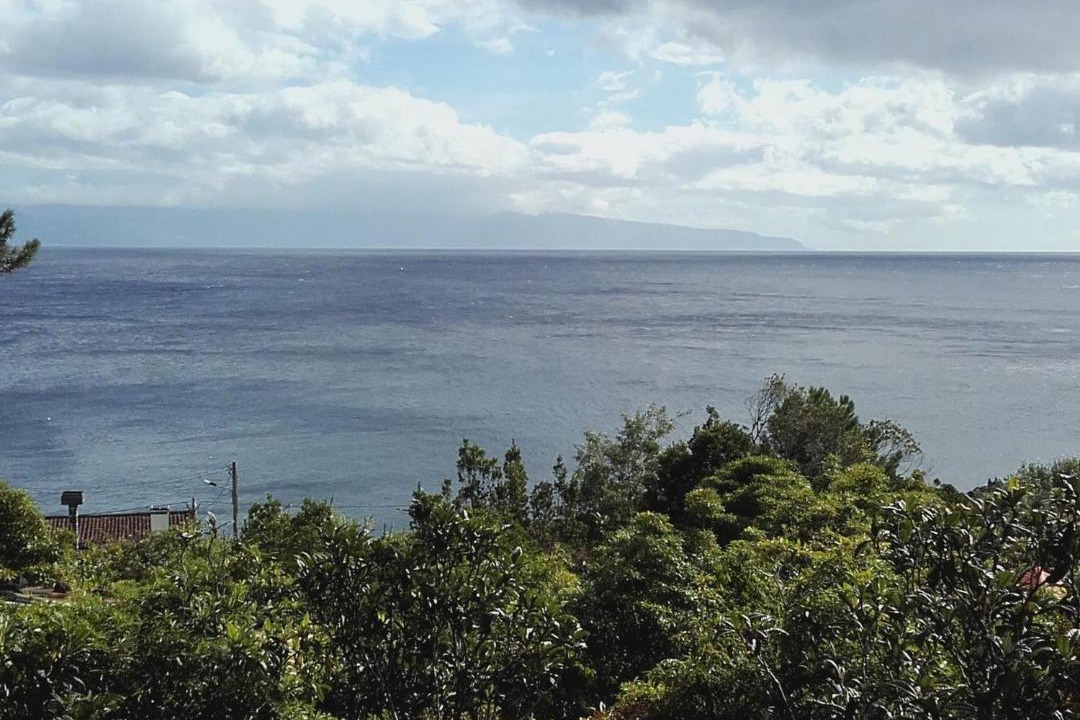 Photo of Others in Sao Roque do Pico