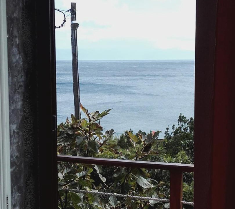 Photo of Others in Sao Roque do Pico