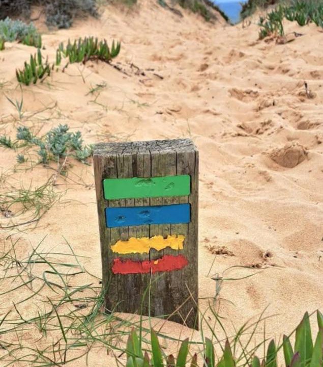 Photo of Others in Aljezur