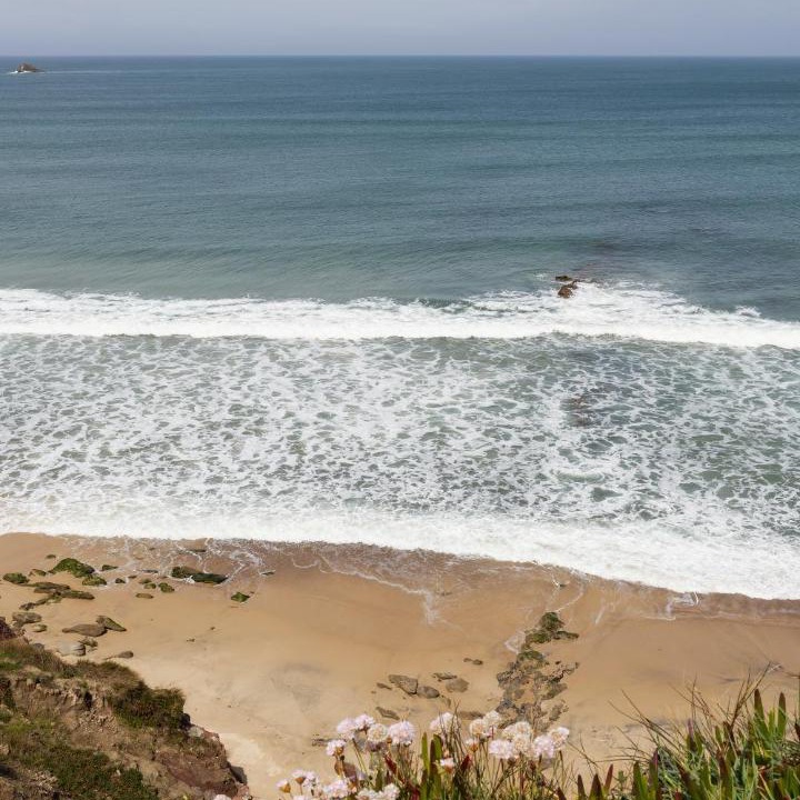 Photo of Others in Baleal
