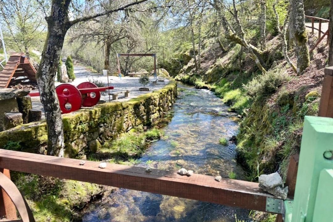Photo of Others in Montalegre