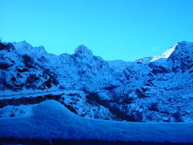 Photo of Others in Manteigas