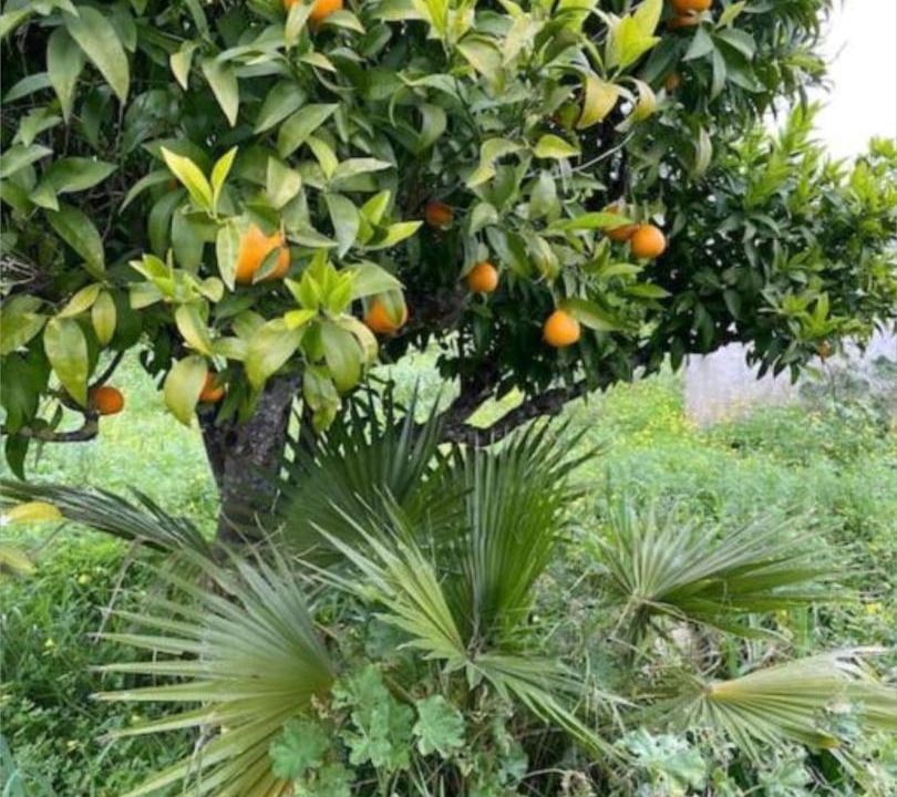 Photo of Others in Quelfes