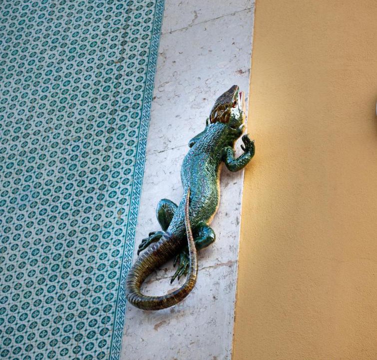 Photo of Others in Setubal