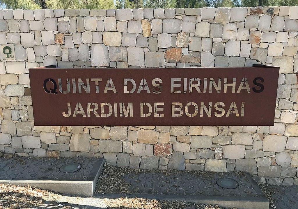 Photo of Others in Tavira