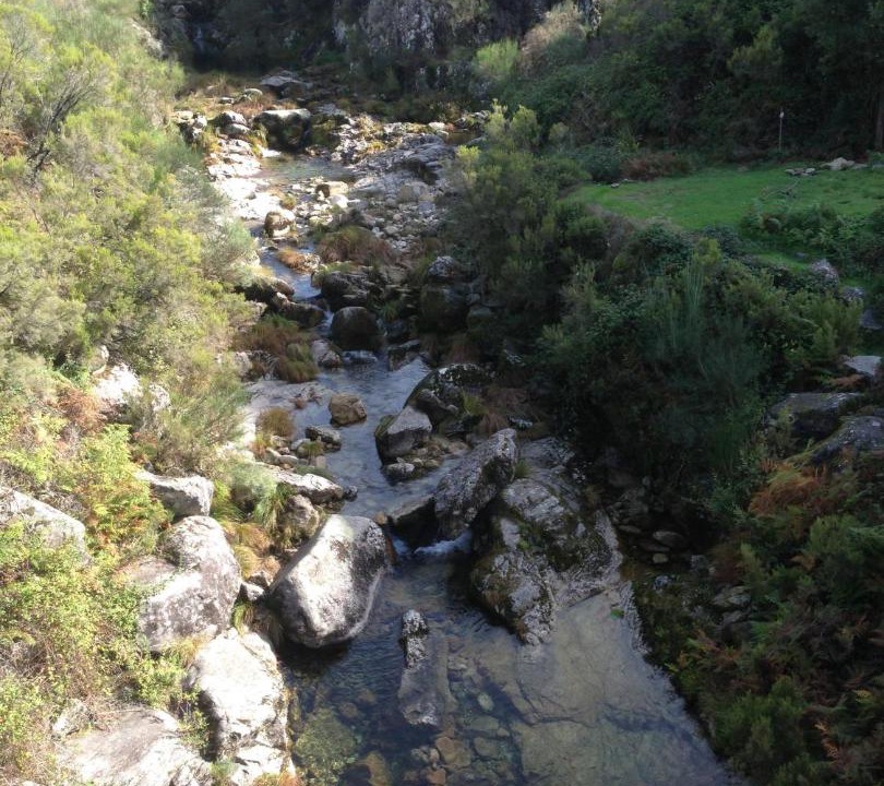 Photo of Others in Ponte da Barca