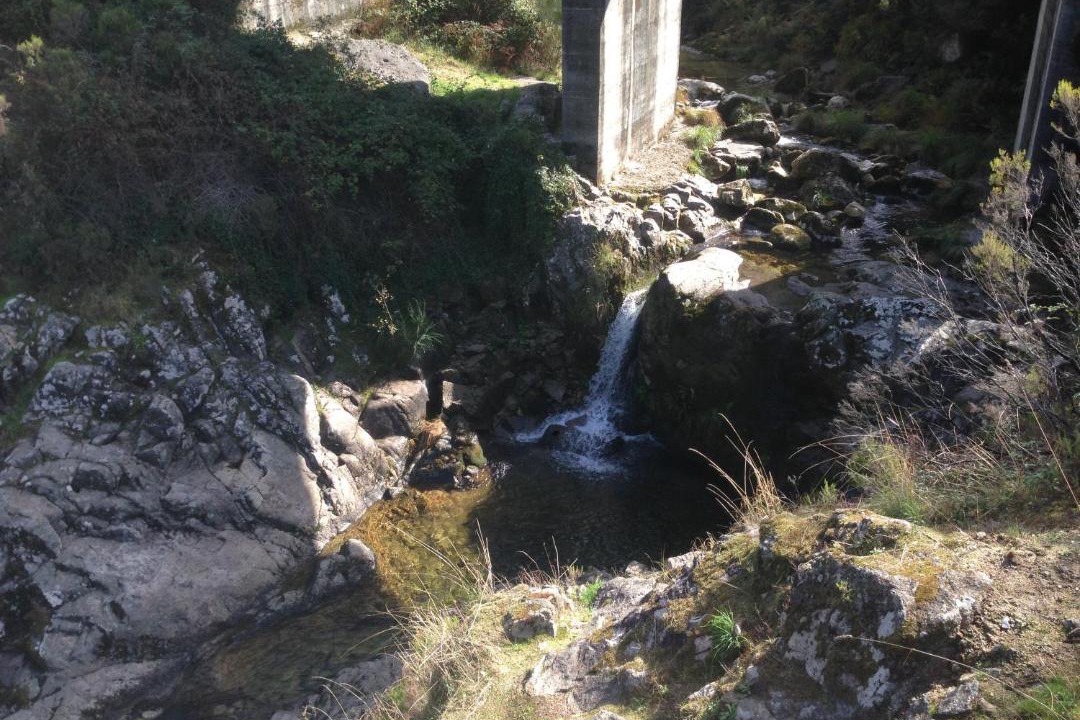 Photo of Others in Ponte da Barca