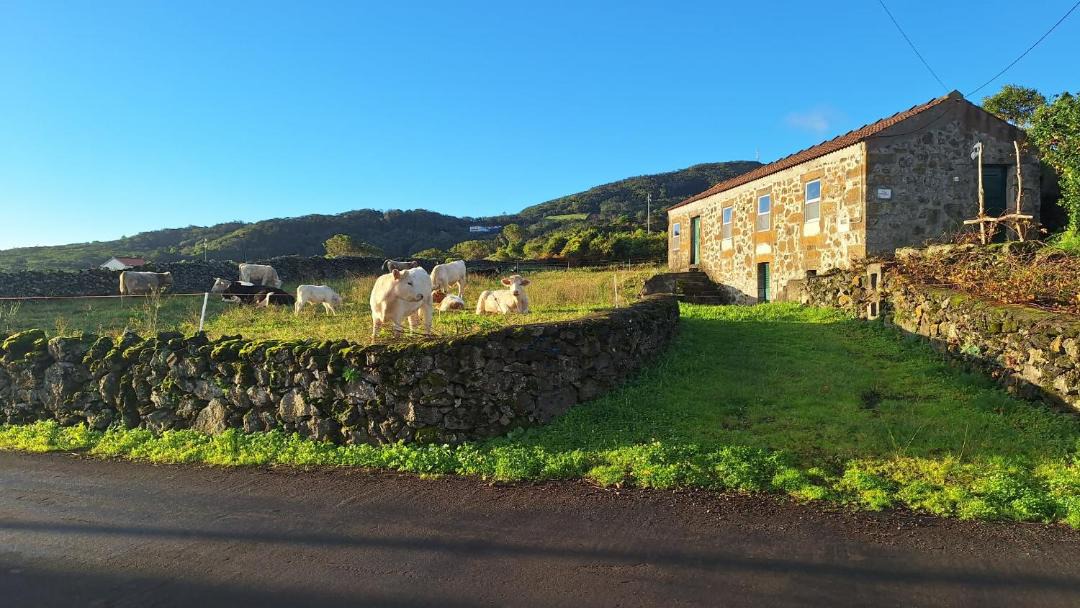 Photo of Others in Lajes do Pico