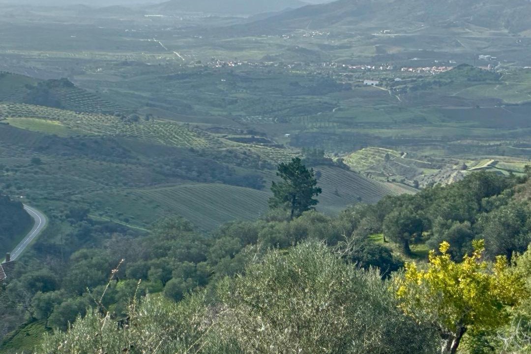 Photo of Others in Alfandega da Fe