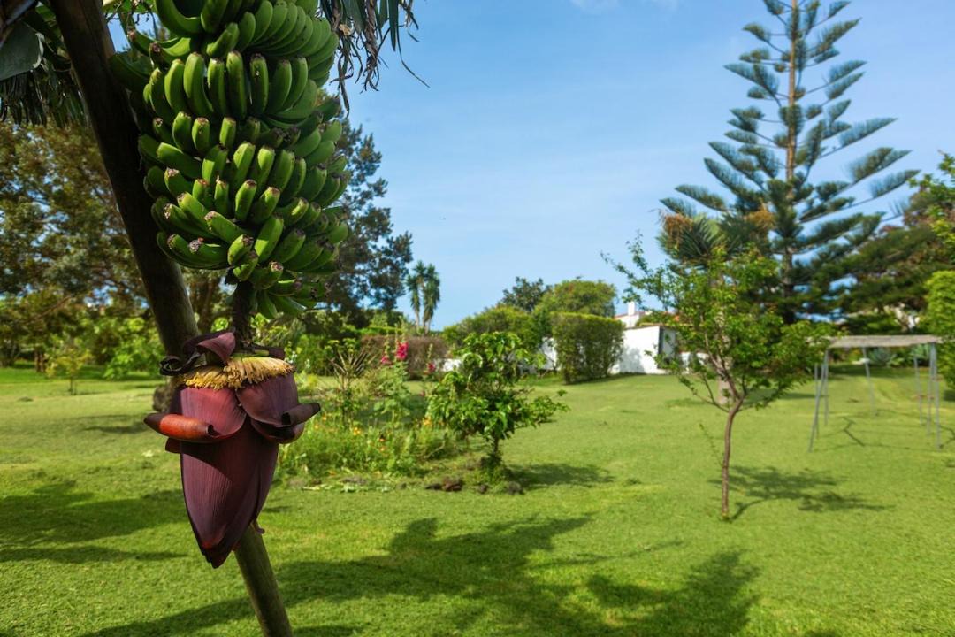 Photo of Others in Vila Franca do Campo