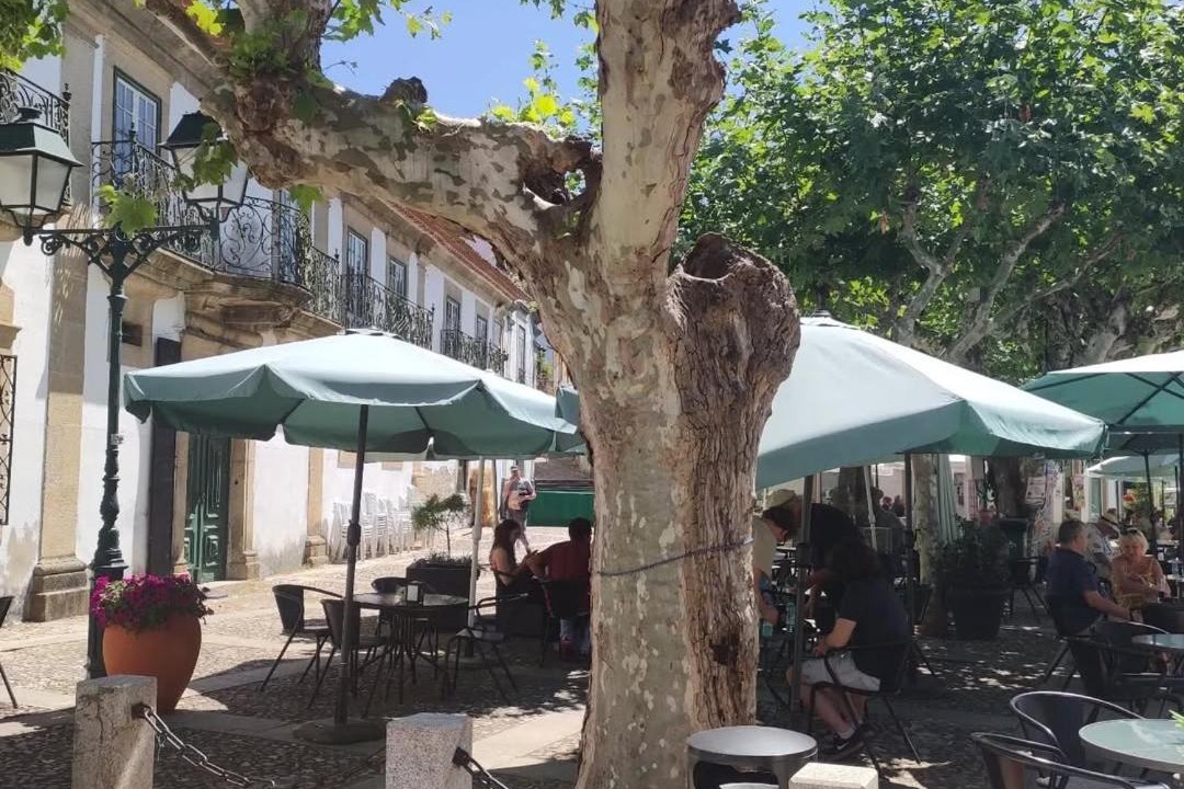 Photo of Others in Pinheiro de Coja