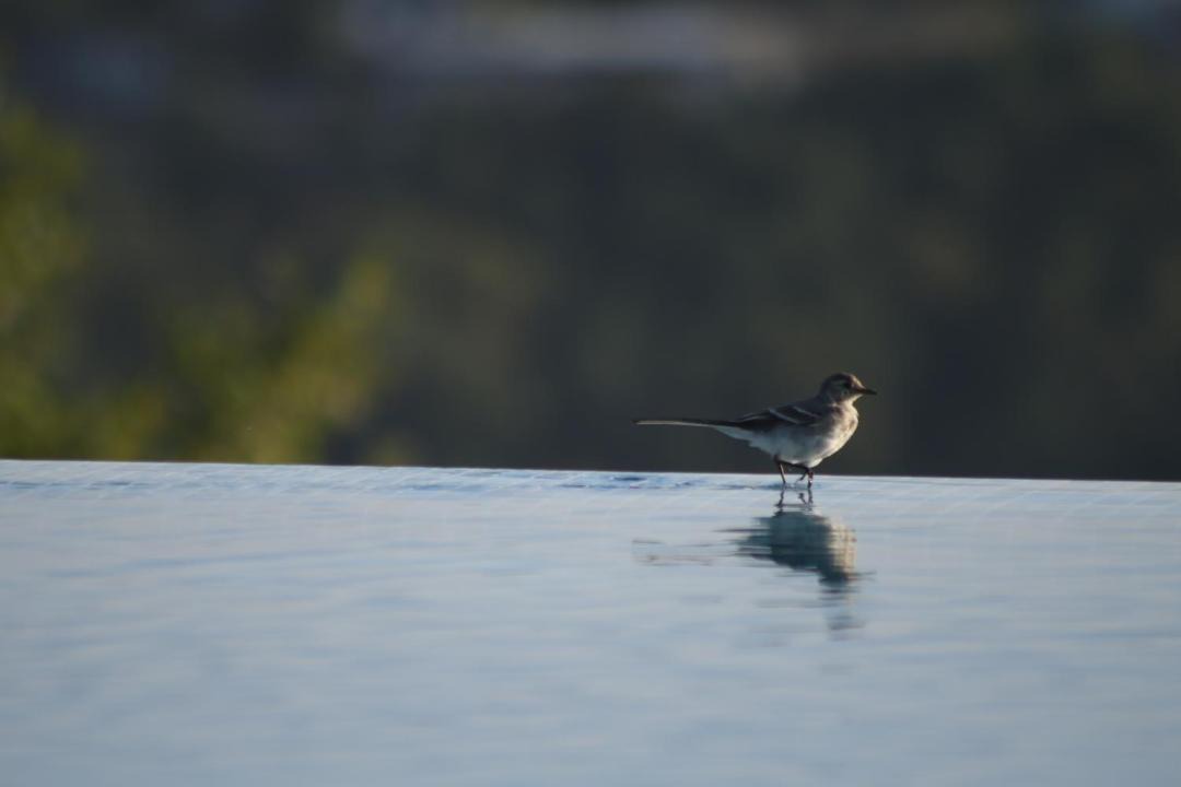 Photo of Others in Baiao
